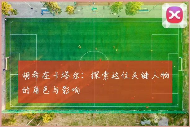 胡希在卡塔尔：探索这位关键人物的角色与影响
